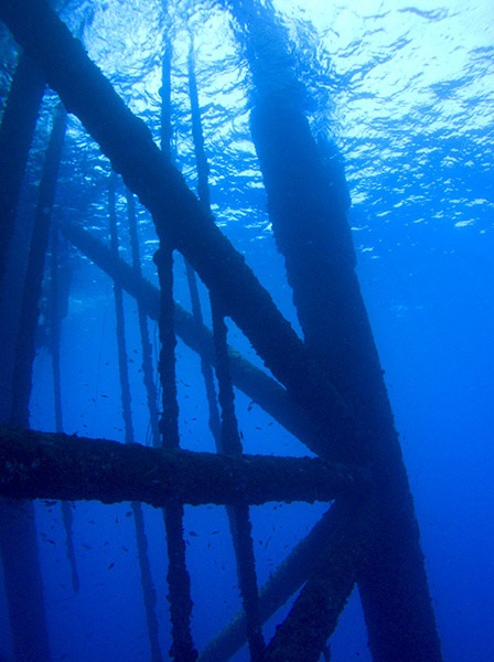 good underwater structure